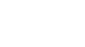 AI-SANA